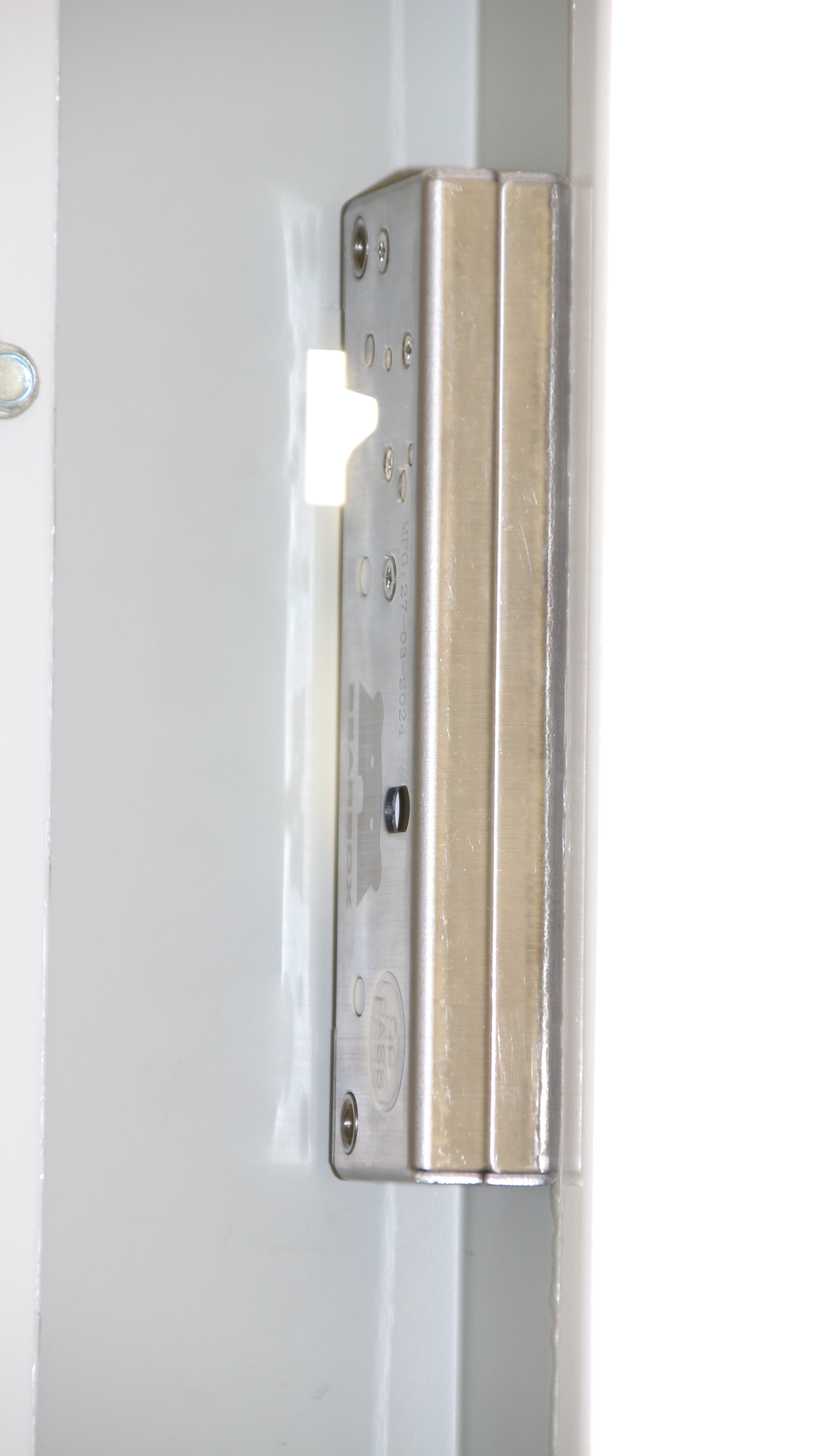 BearLock installato sulla porta di un box